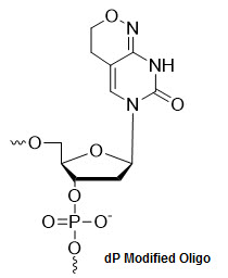 Bio-Synthesis Inc. Oligo Structure